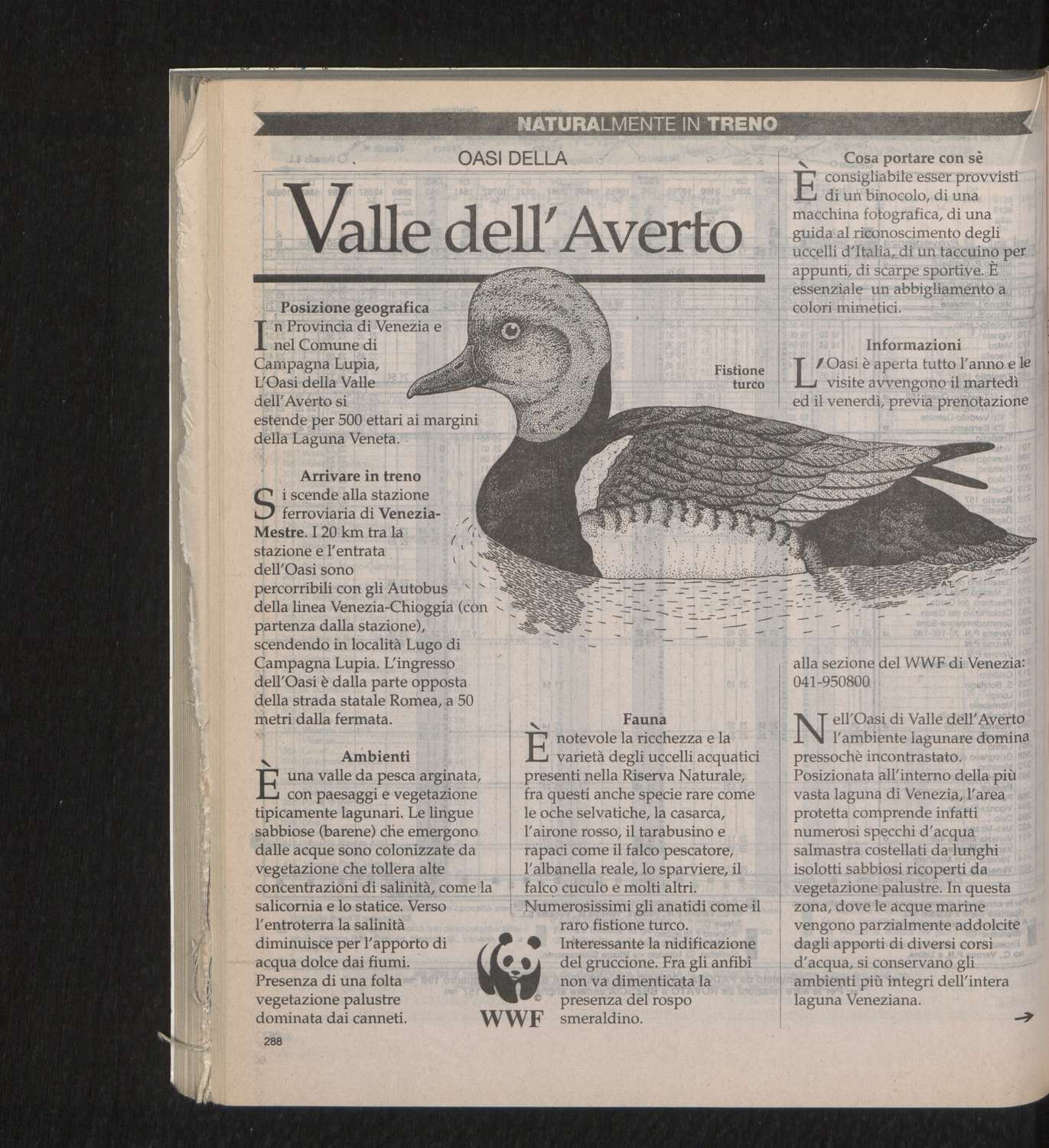 Vedi Dettaglio