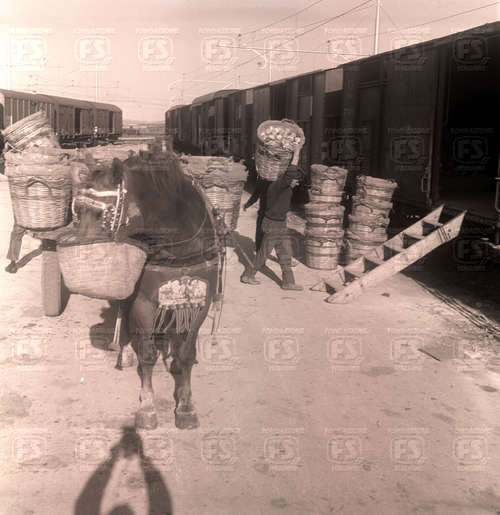 NEG_00241N_35173V_EOS.jpg NEG_00241N_35173V_EOS.jpg