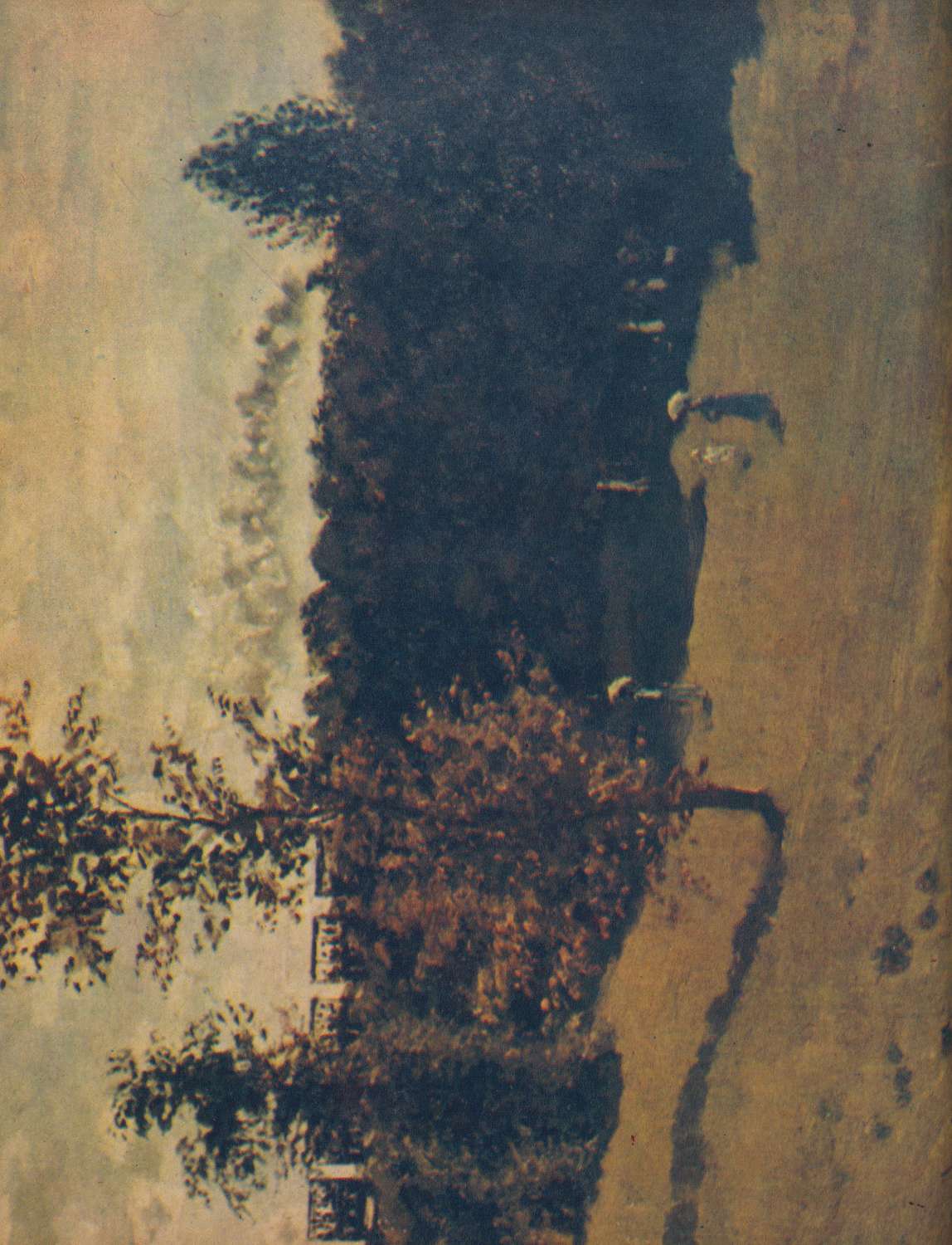 Vedi Dettaglio